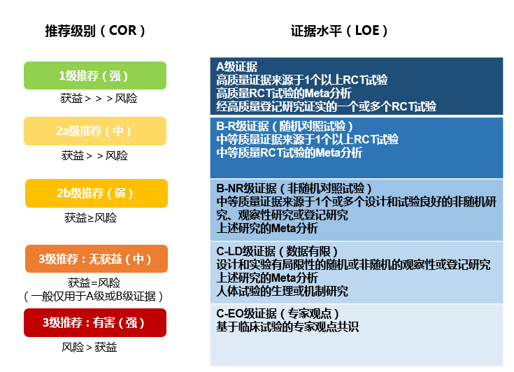 八戒中特网一肖特免费公开资料-精选解析与落实的详细结果