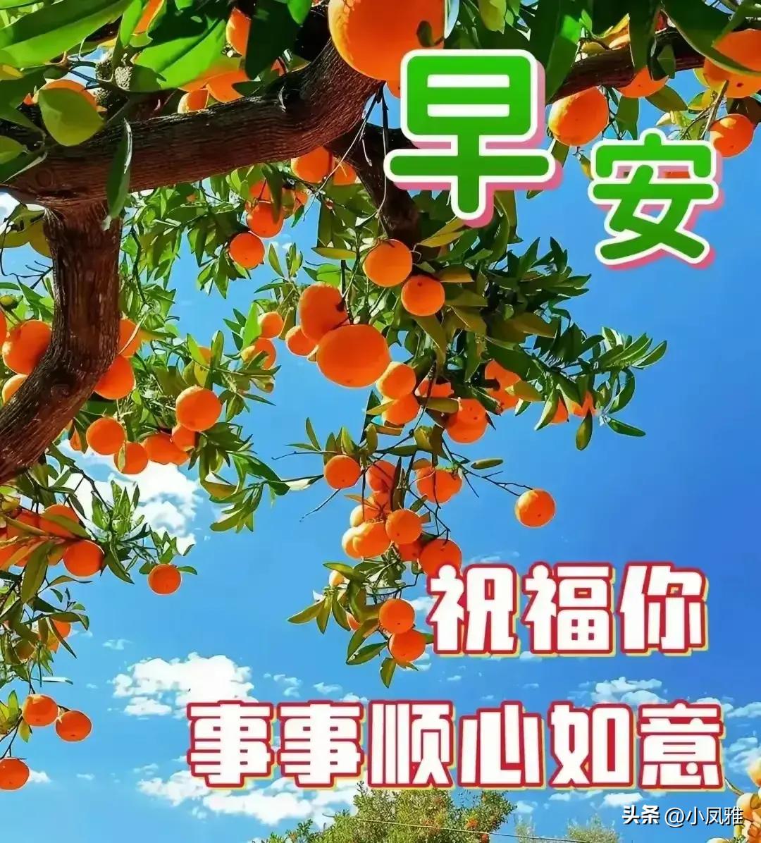 014975cm港澳开奖查询,王中王100期期准预测方法,移动＼电信＼联通 通用版：iOS安卓版iphone831.508_值得支持_V07.98.87