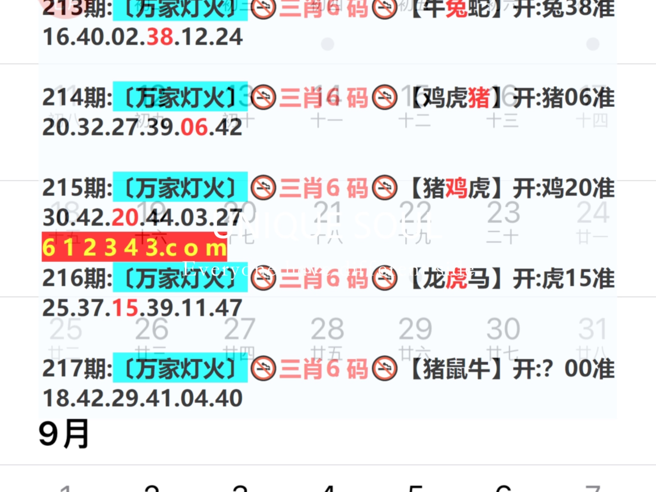 2024澳门正版资料正版,新奥今晚上开奖9点30分,3网通用：V92.46.02_值得支持_V32.64.23