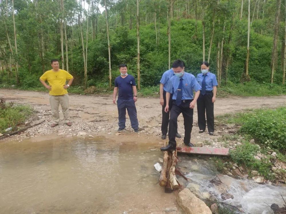 畅游从化，生态之旅与文化体验