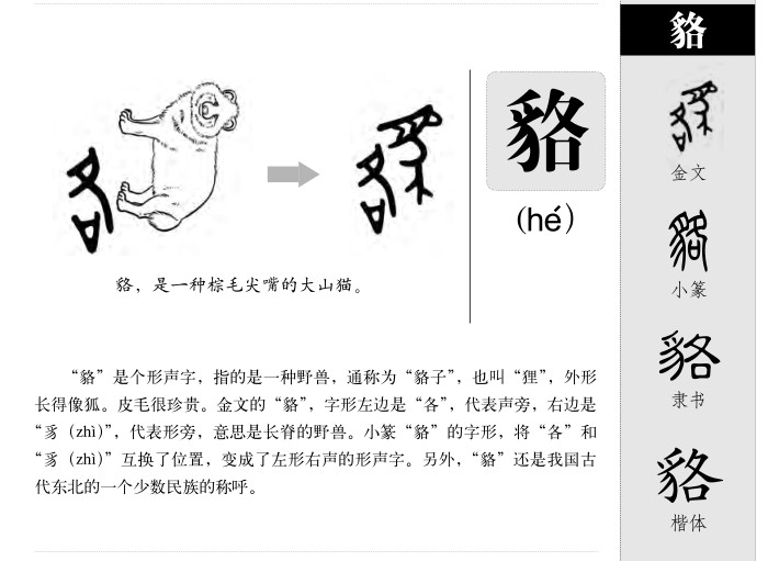 狸组词的奥秘与乐趣