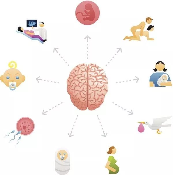 科学胎教，利用视频促进胎儿大脑发育