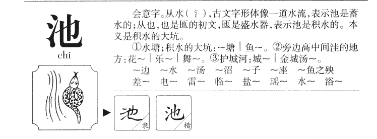 池组词的奥秘与应用