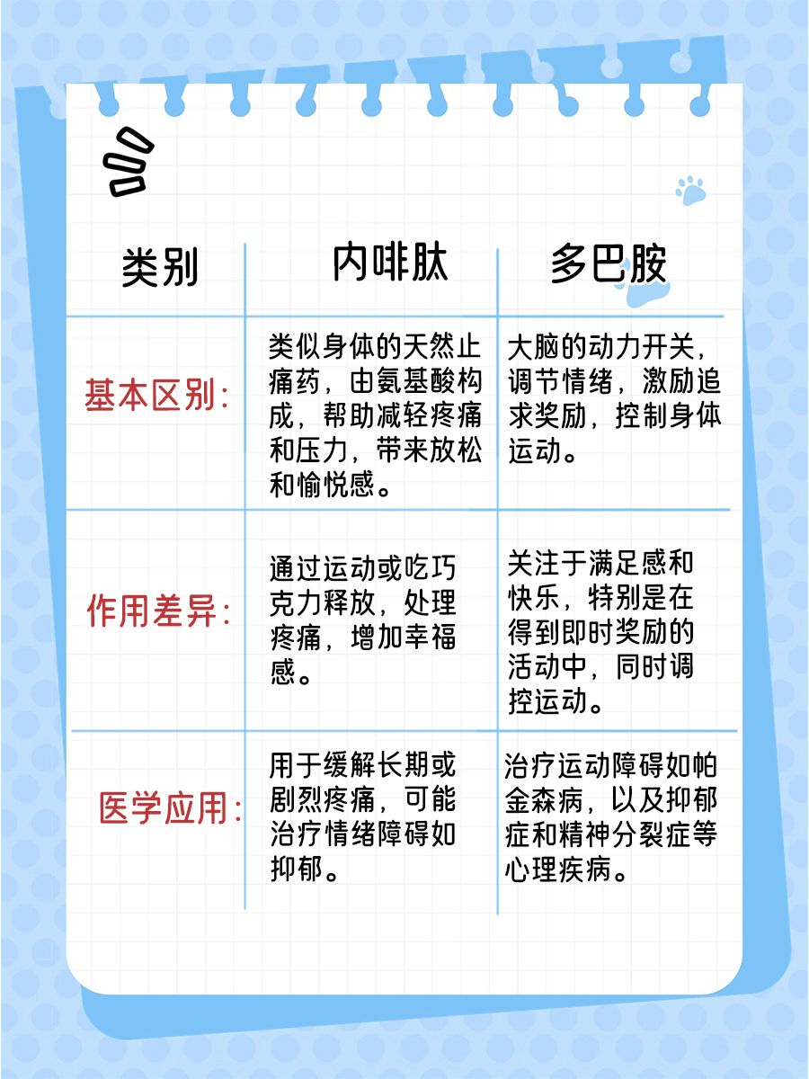 内啡肽与多巴胺，两种快乐化学物质的对比