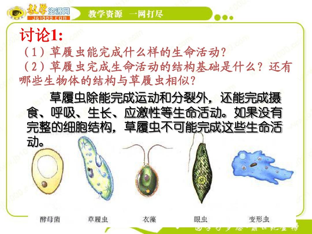 草履虫的生态学与生物学意义