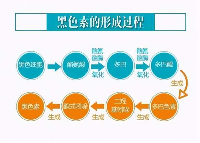 揭秘最强碱性食物第一名，它的健康益处与科学依据