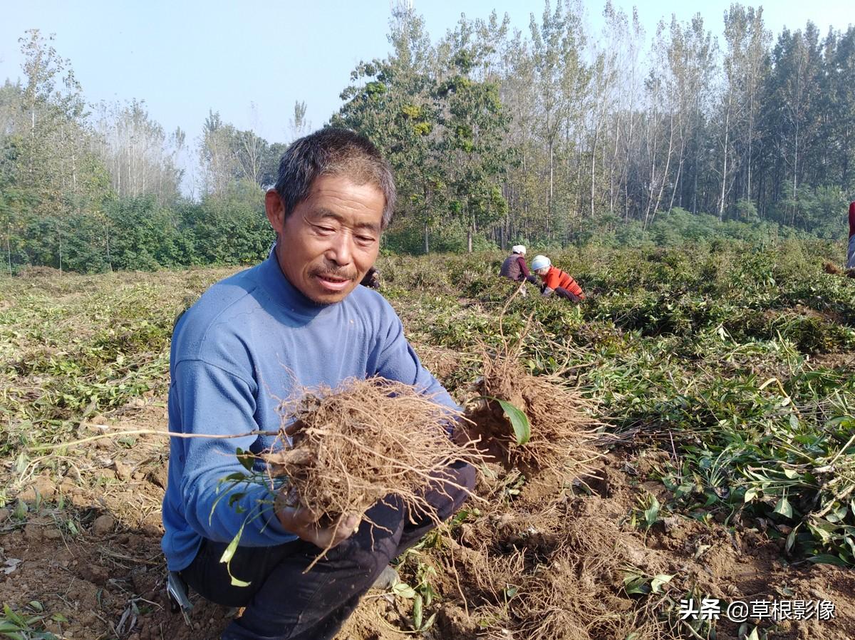 房地产开发成本核算，确保项目盈利的关键一环