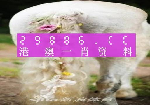 澳门一肖一码一一子中特-AI搜索详细释义解释落实