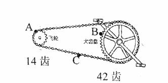 自行车飞轮结构图详解