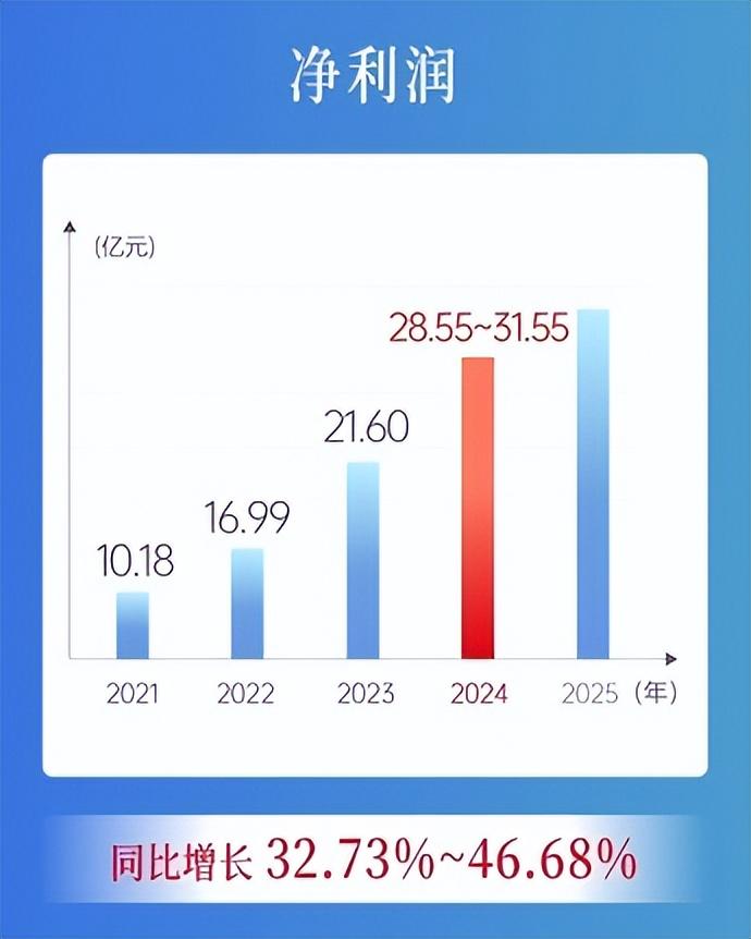 有研粉材：2024年归母净利润同比增长6.3%|界面新闻 · 快讯