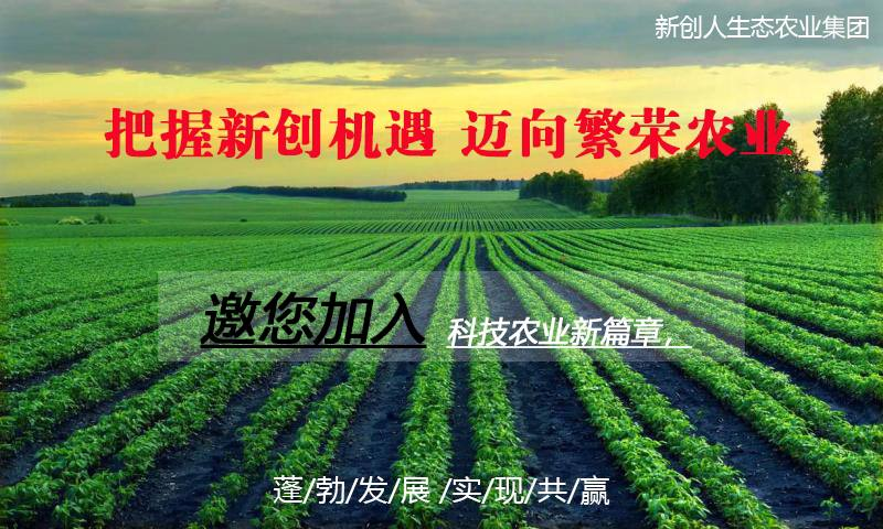 种植标引领农业新篇章