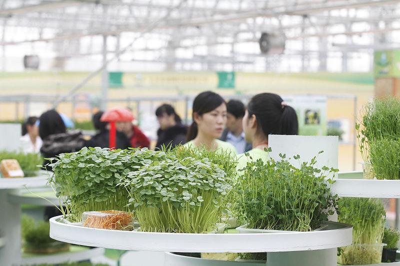 黄豆芽种植方法