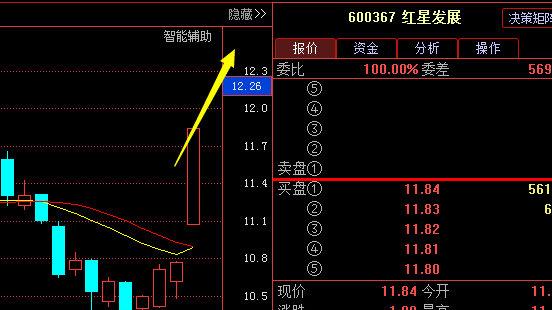 红星发展股票，引领未来投资新篇章