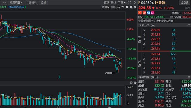 龙盛股票，市场风向标与投资新机遇