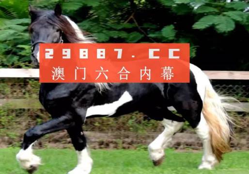 香港最准中特选一肖-AI搜索详细释义解释落实