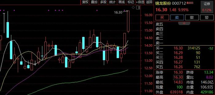 002668股票行情分析